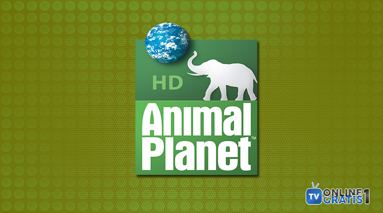 Assistir Animal Planet Online Gratuitamente 24 horas